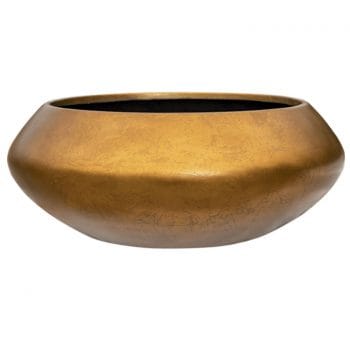 MAXIM bonsai schaal 55cm breed