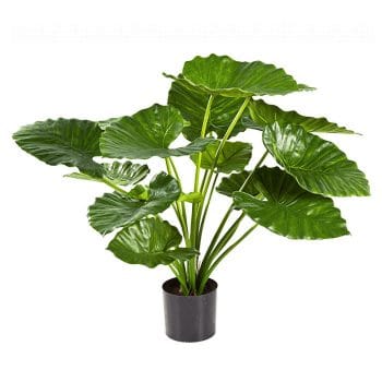 ALOCASIA CALIDORA olifantsoor kunstplant 75cm