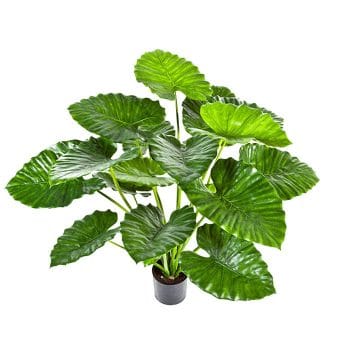 ALOCASIA CALIDORA olifantsoor kunstplant 95cm