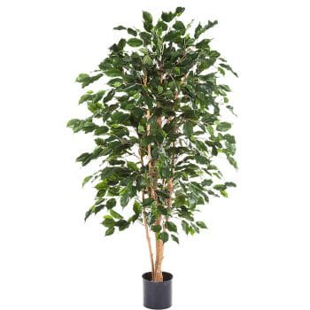 Kunstplant FICUS EXOTICA groot voor binnen 180cm