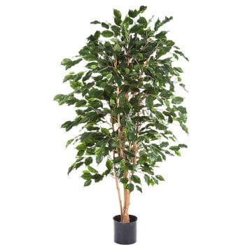 Kunstplant FICUS EXOTICA groot voor binnen 120cm