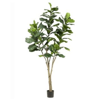 Grote FICUS LYRATA tabaksplant kunstboom op stam 180cm