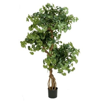 Kunst bonsai boom GINKGO Japanse notenboom 145cm