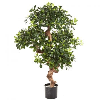 Kunst bonsai boom LAURIER 120cm