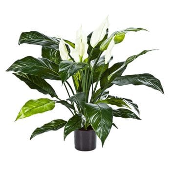 Kunstplant SPATHIPHYLLUM lepelplant witte kelken 75cm