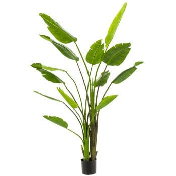 Kunstplant STRELITZIA grote kamerplant 180cm