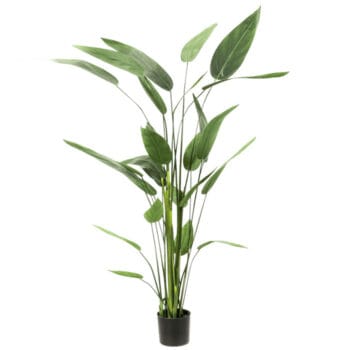 Grote kunstplant HELICONIA XL 175cm