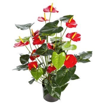 Kunstplant ANTHURIUM flamingoplant met rode kunstbloemen 80cm