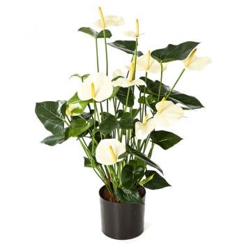 Kunstplant ANTHURIUM flamingoplant met witte kunstbloemen 80cm
