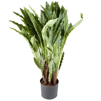 Kunstplant CALATHEA 85cm
