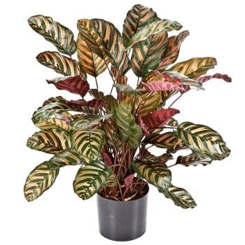 Kunstplant CALATHEA 78cm