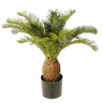 Kunstplant CYCAS PALM 65cm