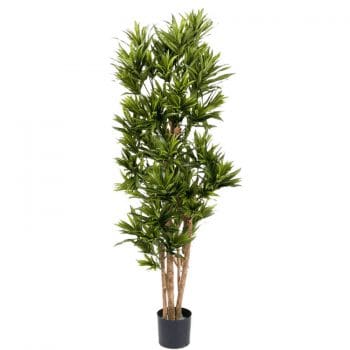 Grote kunstboom DRACAENA drakenbloedboom 150cm