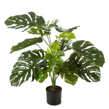Kunstplant MONSTERA gatenplant 85cm