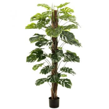 Kunstplant MONSTERA gatenplant op stam 150cm