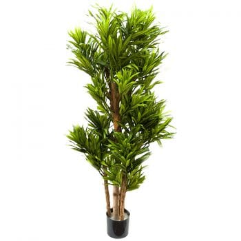 Grote kunstboom PLEOMELE drakenbloedboom 120cm