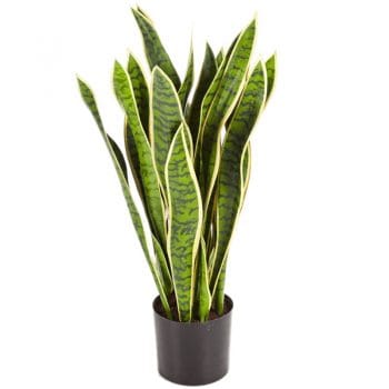 Kunstplant SANSEVIERIA vrouwentong 95cm