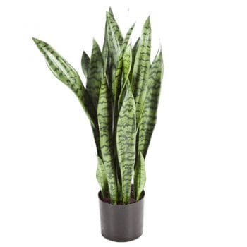 Kunstplant SANSEVIERIA vrouwentong 95cm