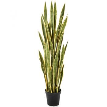 Kunstplant SANSEVIERIA vrouwentong 150cm