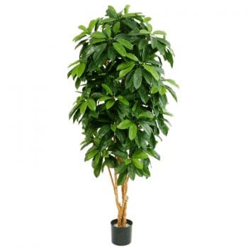 Grote kunstplant SCHEFFLERA vingerplant 145cm