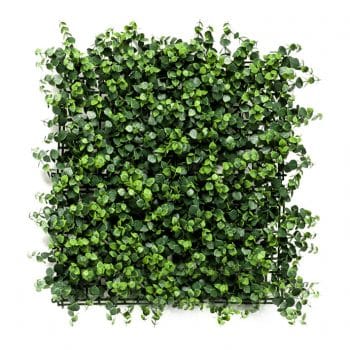 EUCALYPTUS groene muur kunst plantenwand 50cm