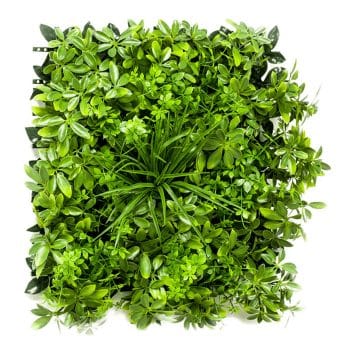 Groene muur kunst plantenwand 50cm