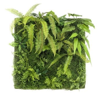 Groene muur design kunst plantenwand 100cm