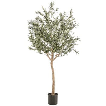 Grote kunst OLIJFBOOM XL voor binnen 180cm