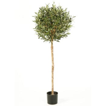 OLIJFBOOM kunst boompje op stam 140cm