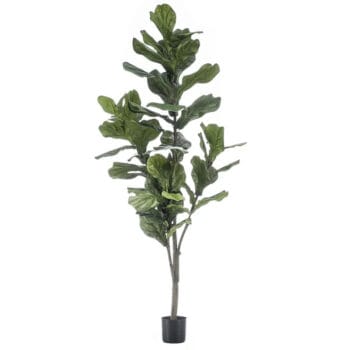 Grote FICUS LYRATA tabaksplant kunstplant op stam 150cm