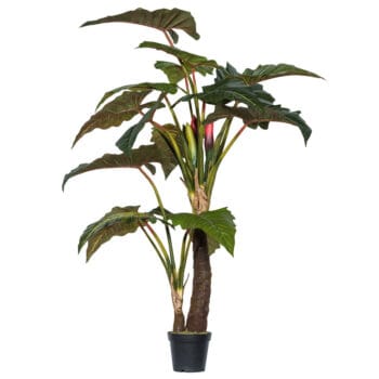 Grote ALOCASIA UV kunstplant voor buiten 220cm