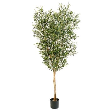 Kunst OLIJFBOOM op stam 180cm