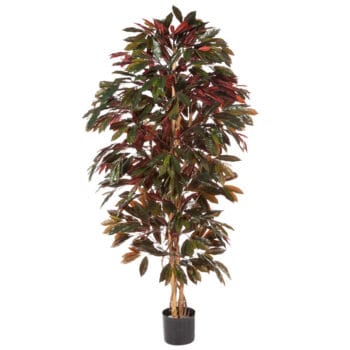 Kunstboom RODE CAPENSIA grote kunstplant 180cm