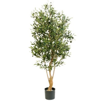 Kunst OLIJFBOOM groot 150cm