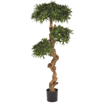 Kunst bonsai boom PODOCARPUS 150cm