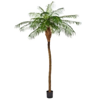 Kunstpalm PHOENIX met echte houten stam 280cm