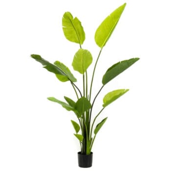 Kunstplant STRELITZIA grote kamerplant 150cm