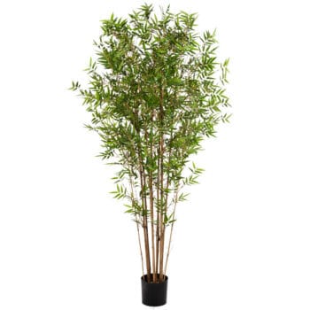 Japanse kunst BAMBOE plant 210cm